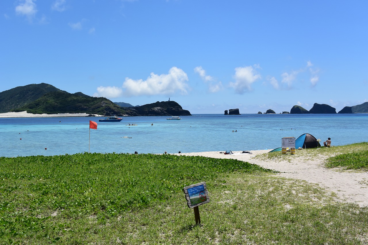 シュノーケルいらず！小さな子連れでもウミガメと泳げる沖縄座間味の阿真ビーチ