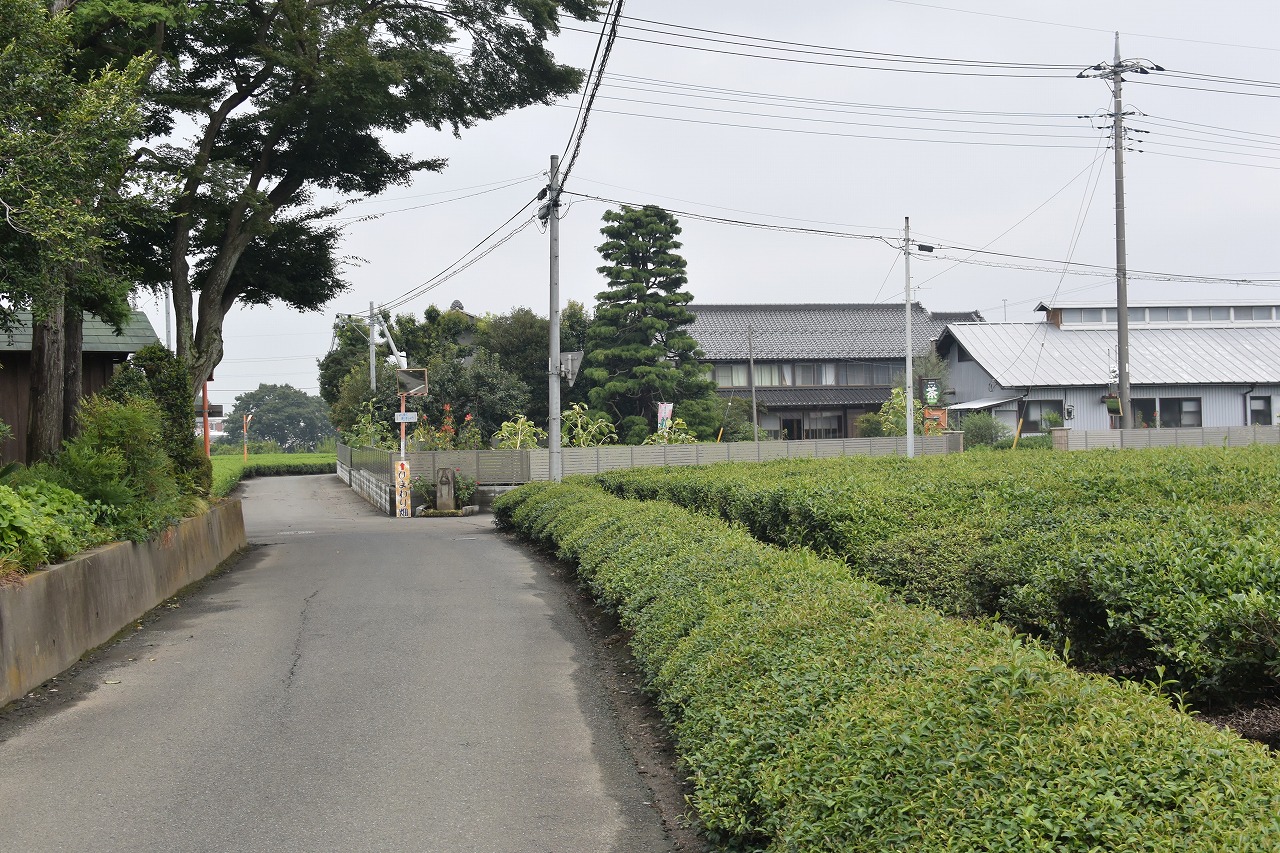 所沢ひまわり畑までのバス停からの徒歩ルート