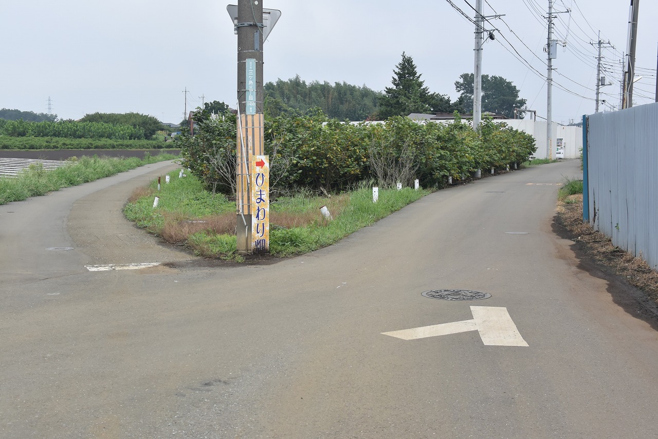 所沢ひまわり畑までのバス停からの徒歩ルート