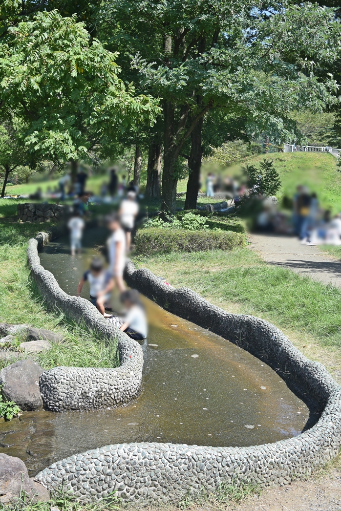 飯能：阿須運動公園：水遊び