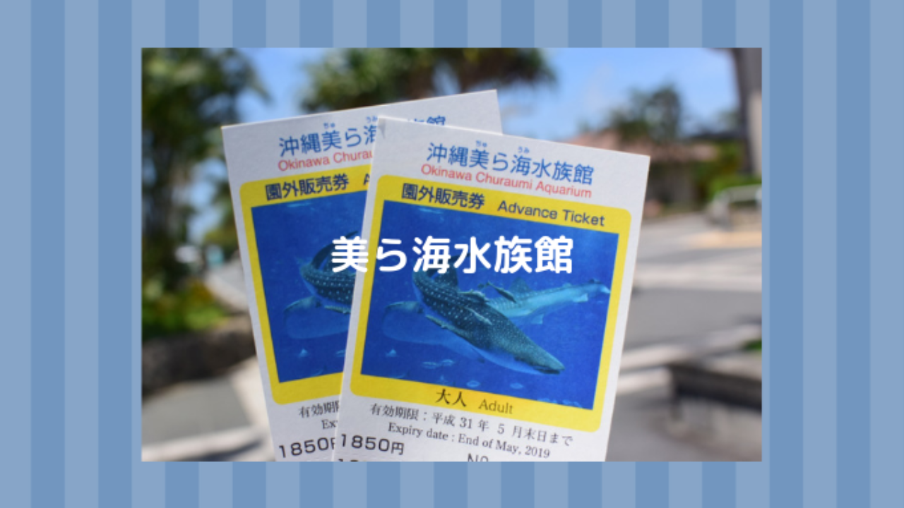 美ら海水族館のチケットを一番安くお得に買う方法 道の駅 コンビニ はれうさぎの耳より情報ブログ