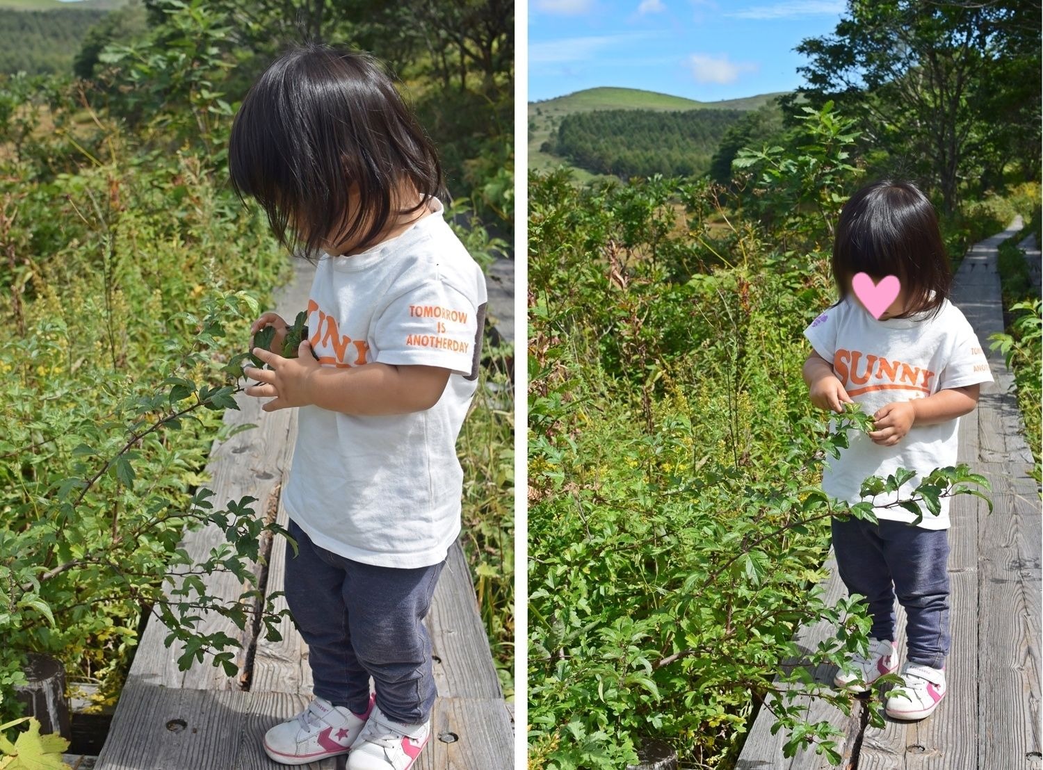 霧ヶ峰高原八島湿原：花を見つめる娘２
