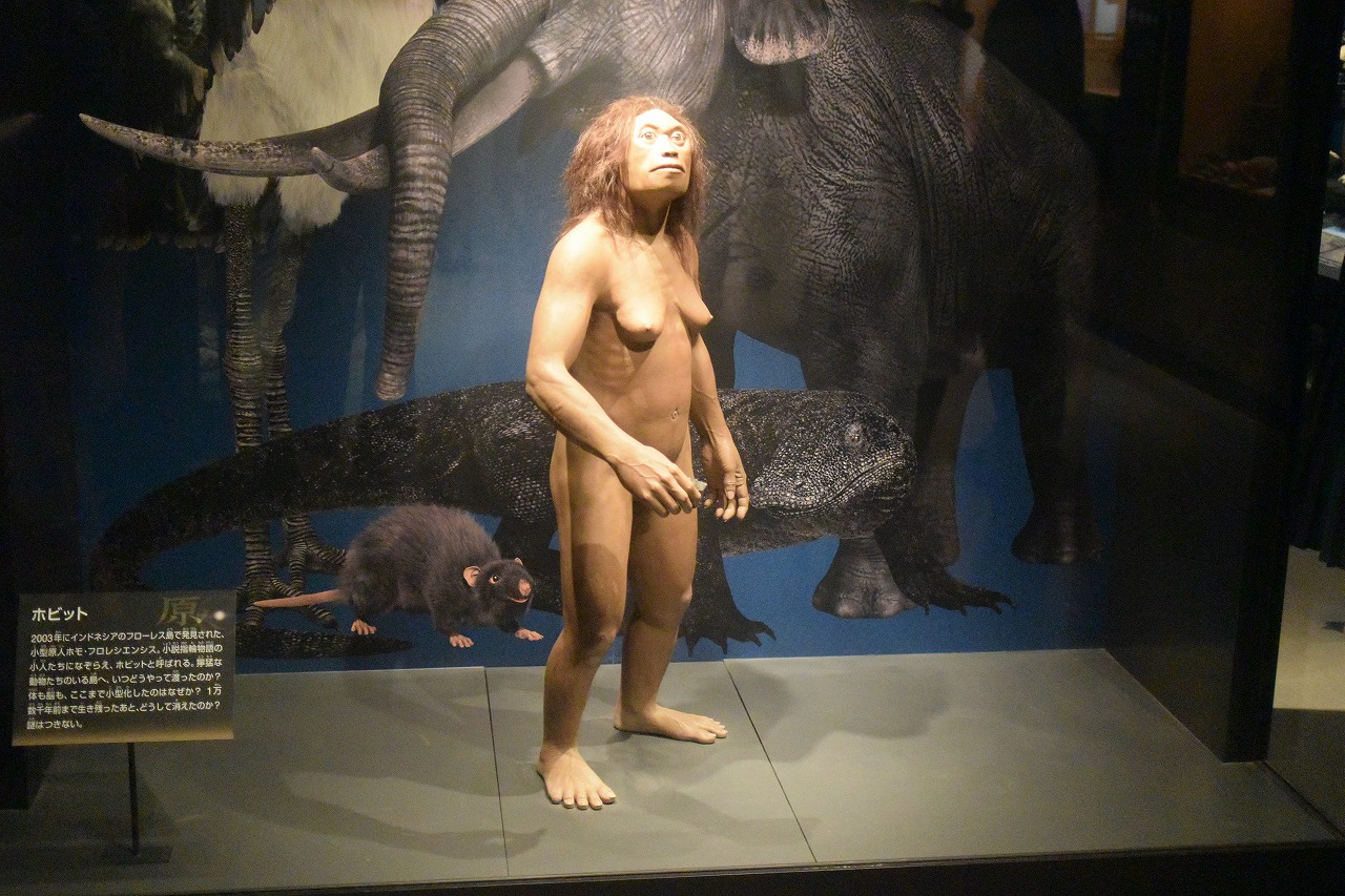 国立科学博物館：古代人の復元：ホビット