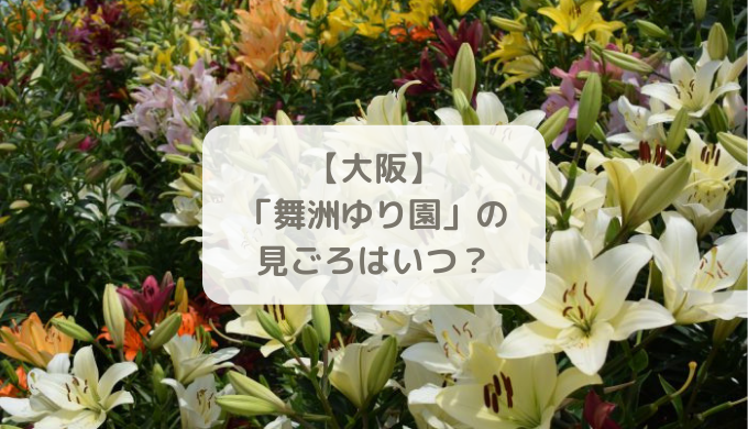 18年 舞洲ゆり園の見ごろはいつ の開花状況と開園期間について 大阪 はれうさぎの耳より情報ブログ