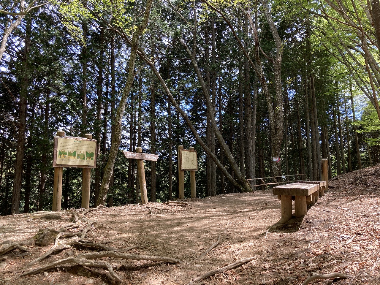 三峯神社の奥宮への登山道（休憩所2）