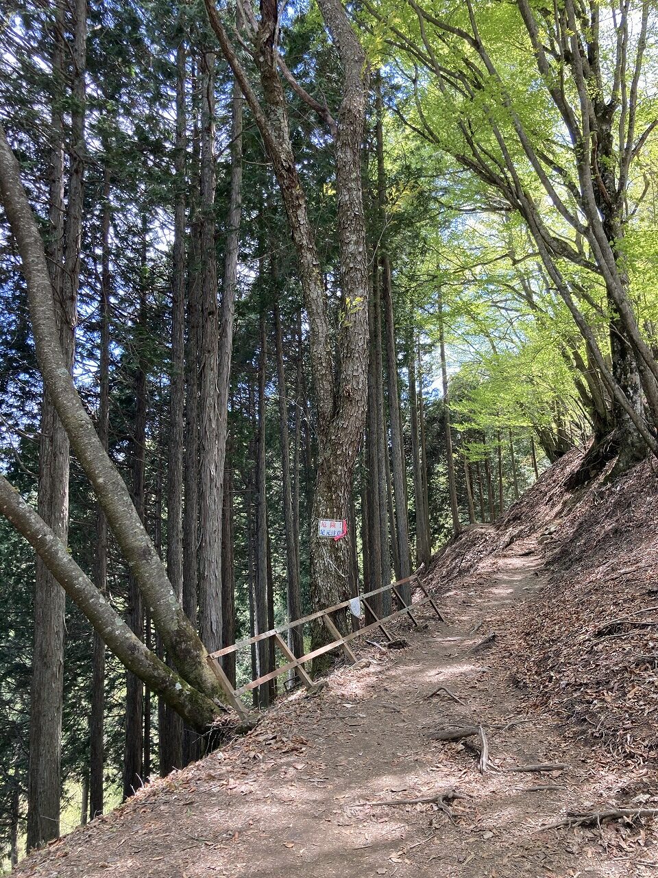 三峯神社の奥宮への登山道（道が細い！）