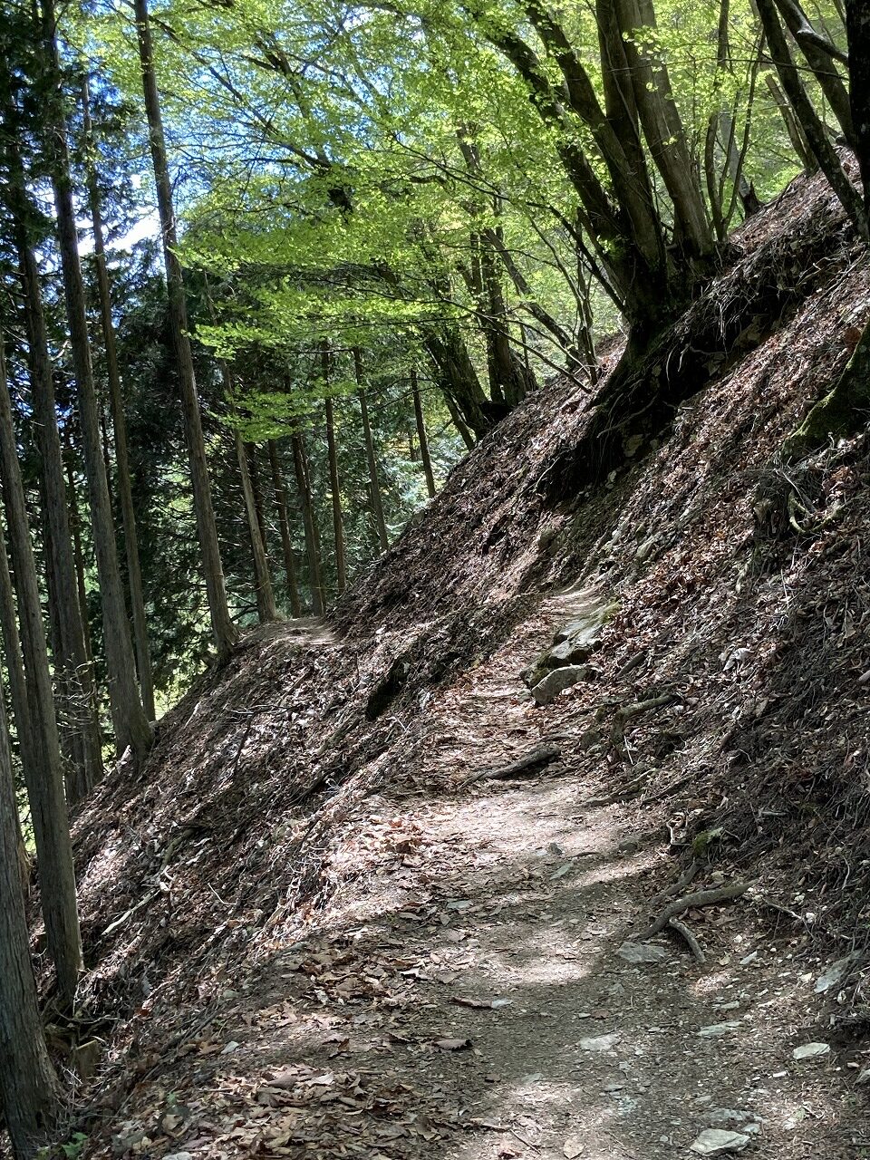 三峯神社の奥宮への登山道（道がかなり細い！）