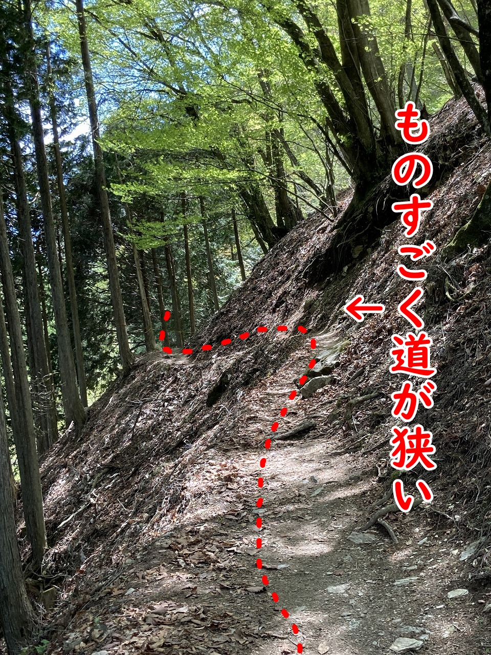 三峯神社の奥宮への登山道（物凄く狭い道）