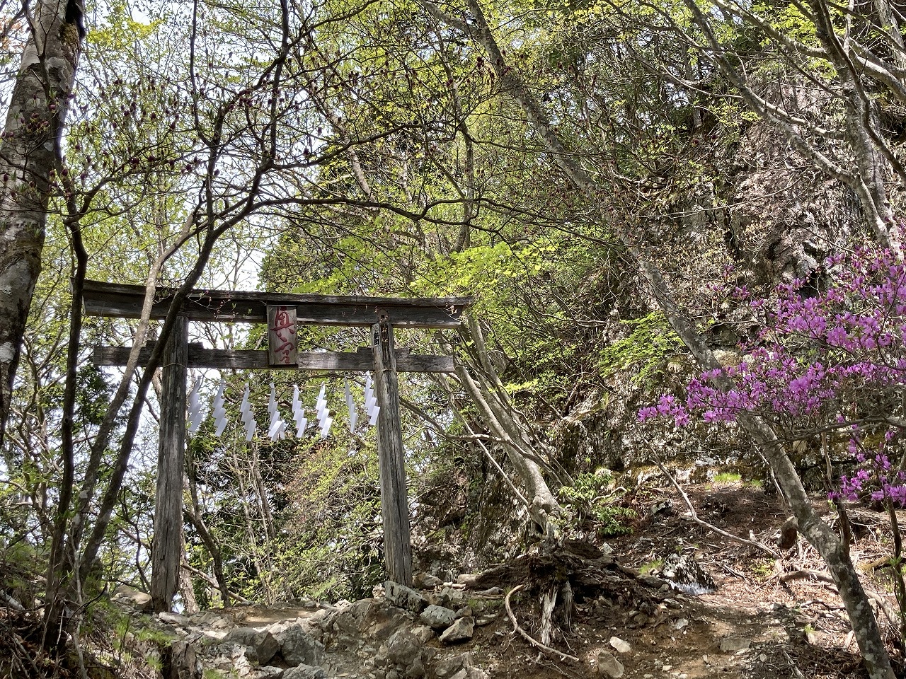 三峯神社の奥宮への登山道（4番目の鳥居）