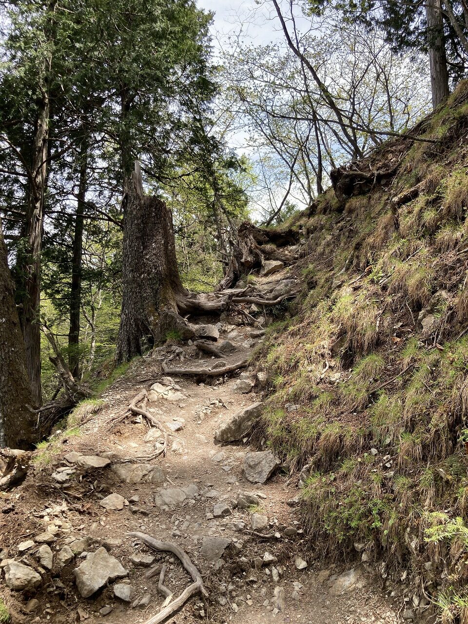 三峯神社の奥宮への登山道（アップダウン）