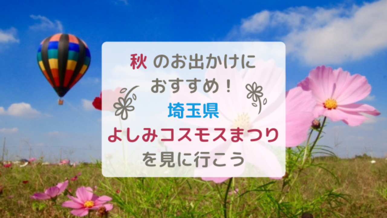 19年 埼玉県コスモスの名所 よしみコスモスまつり 秋のおすすめお出かけスポット はれうさぎの耳より情報ブログ