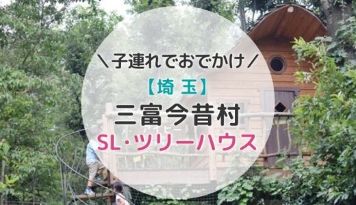 三富今昔村でツリーハウスやアスレチックを満喫！SLや新幹線も！【埼玉】