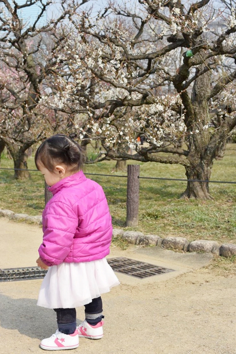 大阪城公園の梅林の見ごろはいつ？気になる最新開花情報